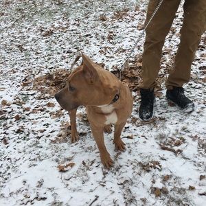 Meet your Posher, Elena